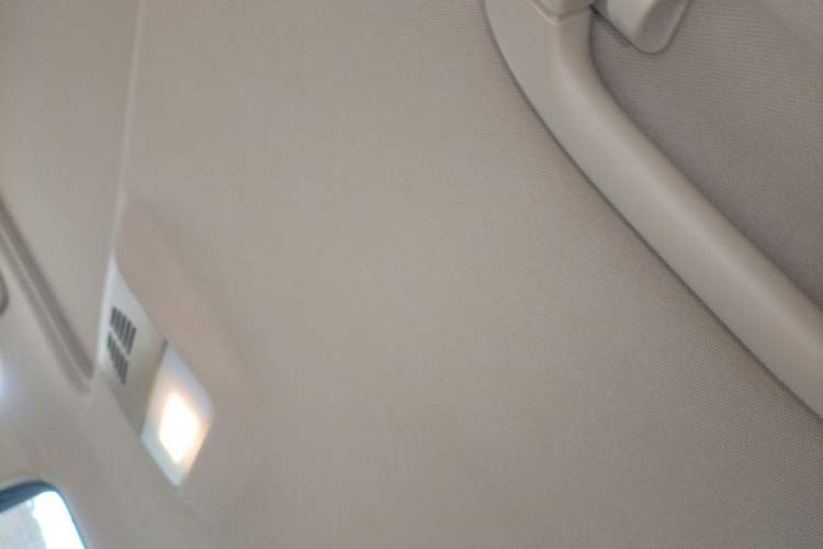 Used BMW 3 Series 2011 318i Leading Model Headliner