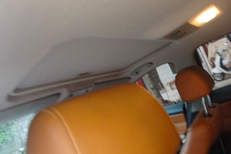 Used BMW 3 Series 2011 320i Luxury Edition Headliner