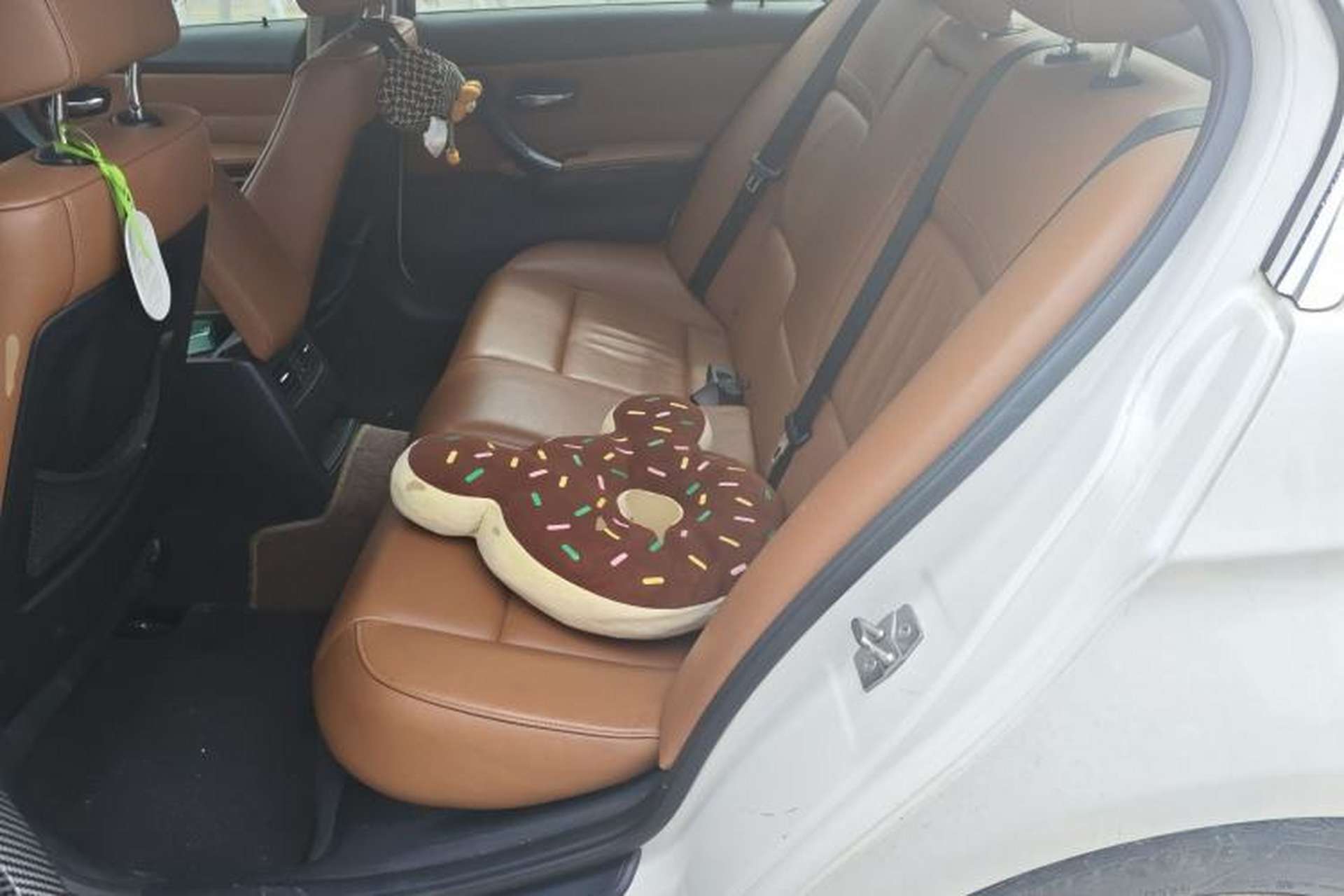 Used BMW 3 Series 2011 325i Sport Edition Left Rear Seat