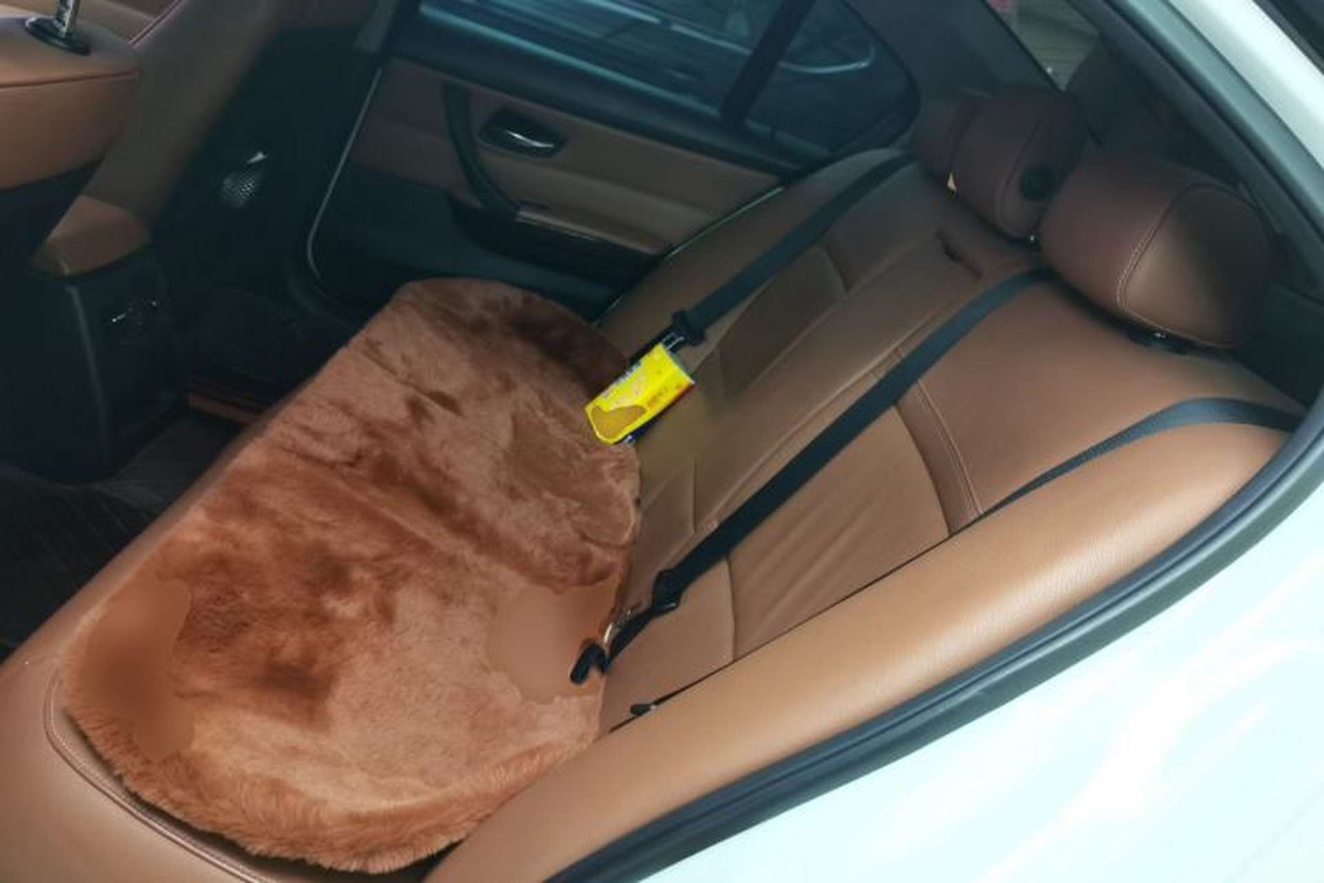 Used BMW 3 Series 2011 320i Sport Edition Left Rear Seat
