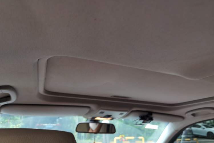 Used BMW 3 Series 2011 320i Luxury Edition Headliner