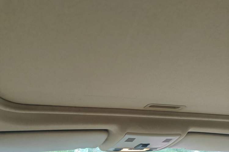 Used BMW 3 Series 2012 318i Leading Model Headliner