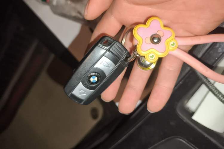 Used BMW 3 Series 2012 318i Leading Model Vehicle Key
