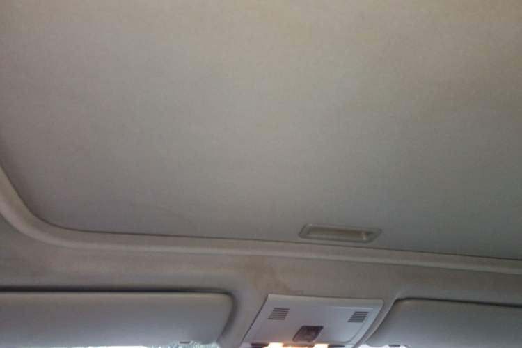 Used BMW 3 Series 2012 320i Luxury Edition Headliner