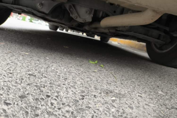 Used BMW 3 Series 2013 320Li Fashion Model Chassis Rear