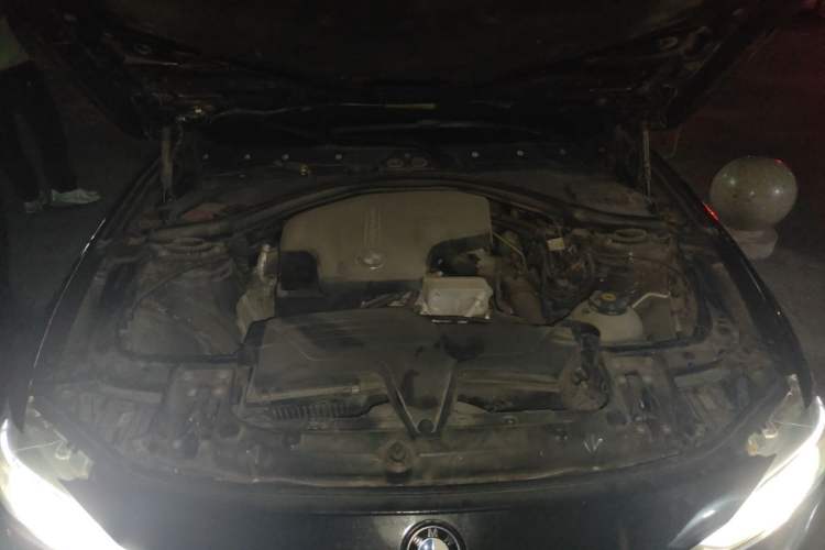 Used BMW 3 Series 2013 Facelift 320Li Fashion Design Package Engine Bay
