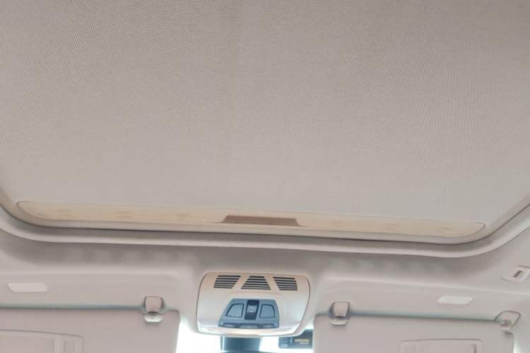 Used BMW 3 Series 2013 Facelift 320Li Fashion Design Package Headliner