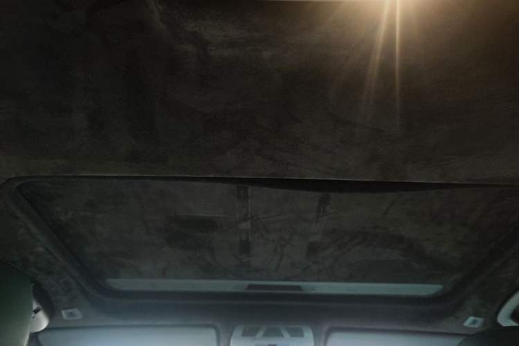 Used BMW 3 Series 2013 320Li Manual Model Headliner