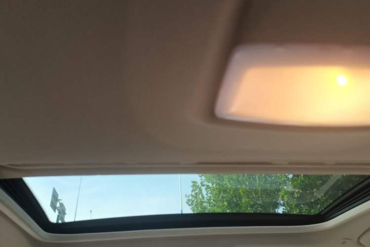 Used BMW 3 Series 2013 316i Active Edition Headliner