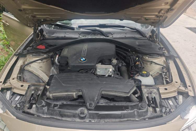 Used BMW 3 Series 2013 Facelifted 320Li Luxury Design Package Engine Bay