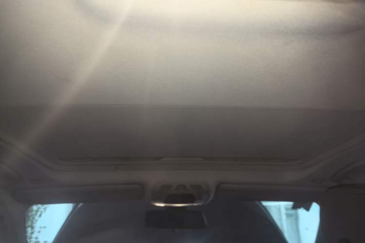 Used BMW 3 Series 2013 Facelifted 320Li Luxury Design Package Headliner