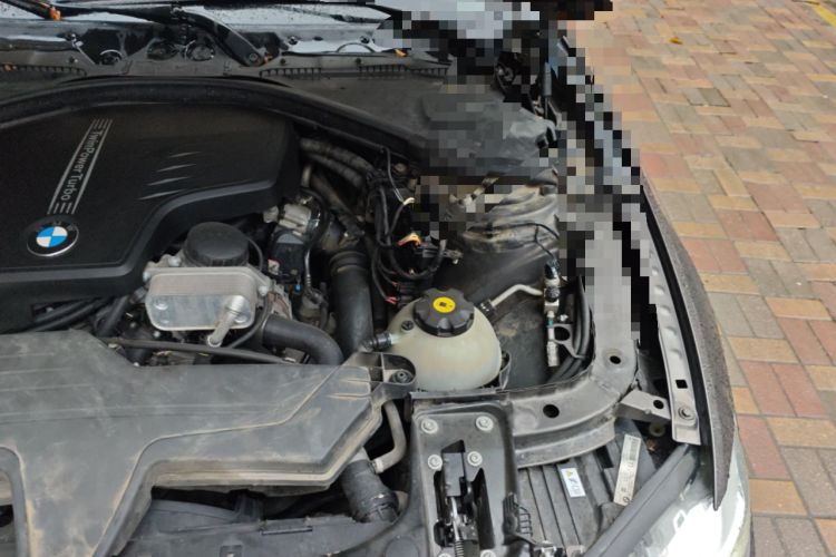 Used BMW 3 Series 2013 Facelifted 320Li Luxury Design Package Engine Bay Left