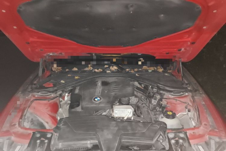 Used BMW 3 Series 2013 320i Sport Edition Engine Bay