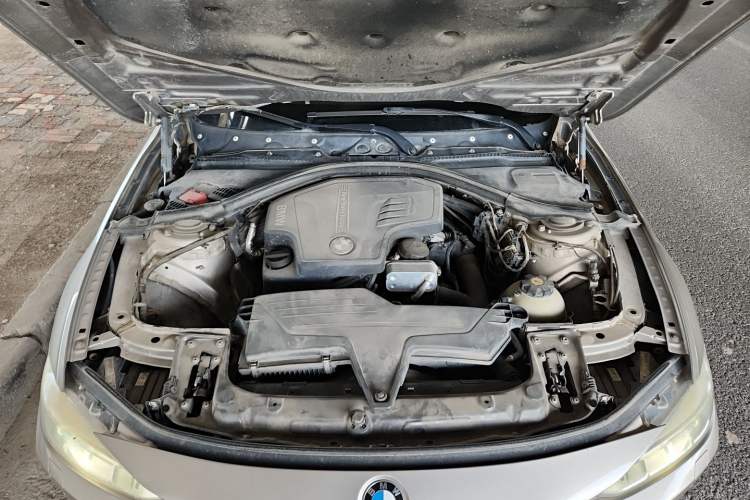 Used BMW 3 Series 2013 Facelifted 320Li Luxury Design Package Engine Bay