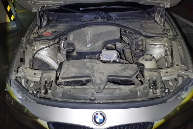 Used BMW 3 Series 2013 320Li Luxury Design Package Engine Bay