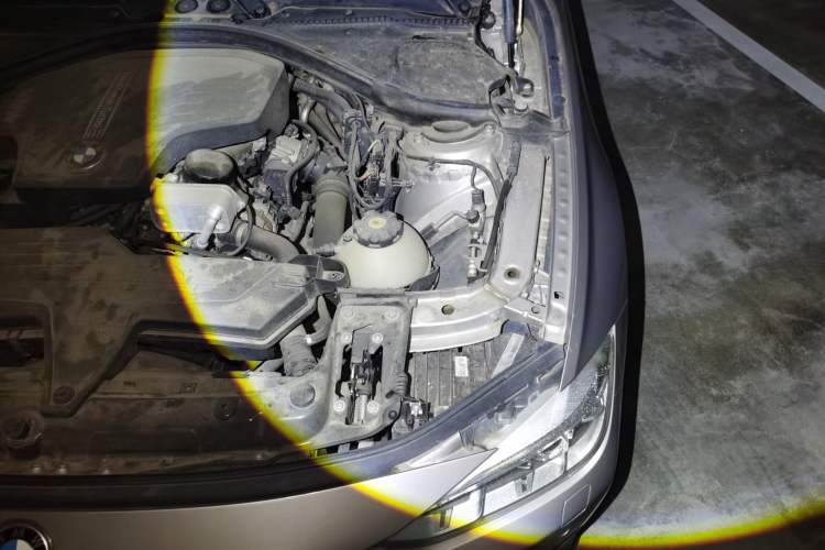 Used BMW 3 Series 2013 320Li Luxury Design Package Engine Bay Left