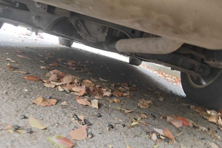 Used BMW 3 Series 2013 320i Active Edition Chassis Rear