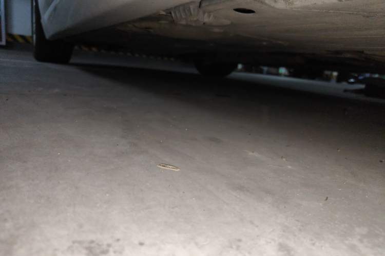 Used BMW 3 Series 2013 320i Sport Edition Chassis Rear Left