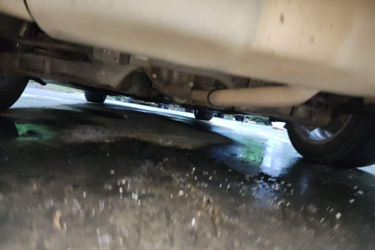 Used BMW 3 Series 2013 320i Sport Edition Chassis Rear