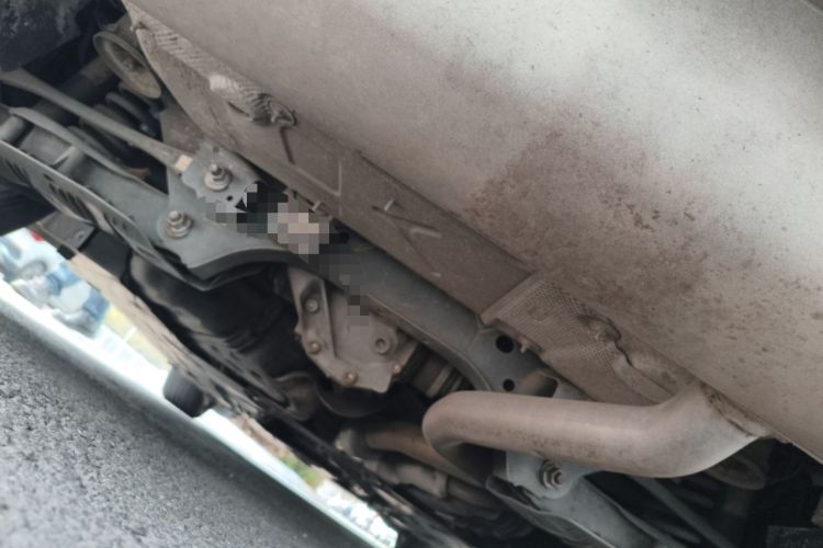 Used BMW 3 Series 2013 320i Sport Edition Chassis Rear