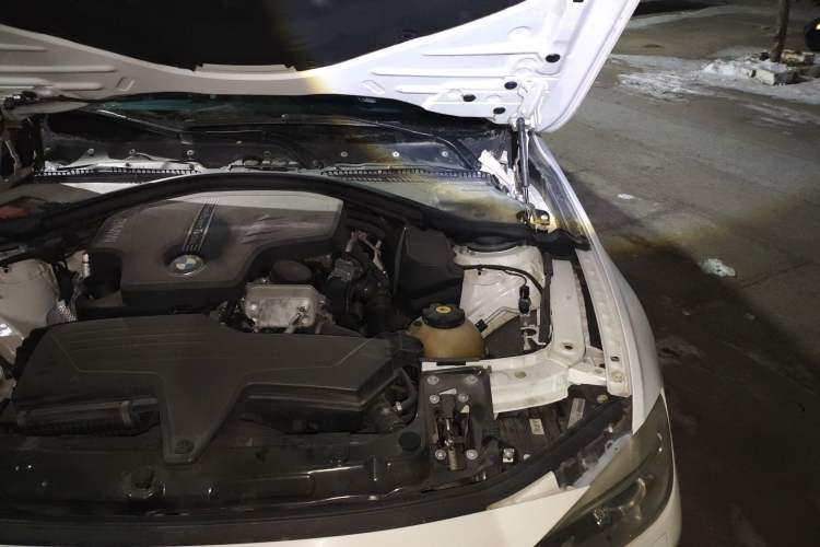 Used BMW 3 Series 2013 320Li Fashion Model Engine Bay Left