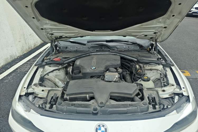 Used BMW 3 Series 2013 320i Active Edition Engine Bay