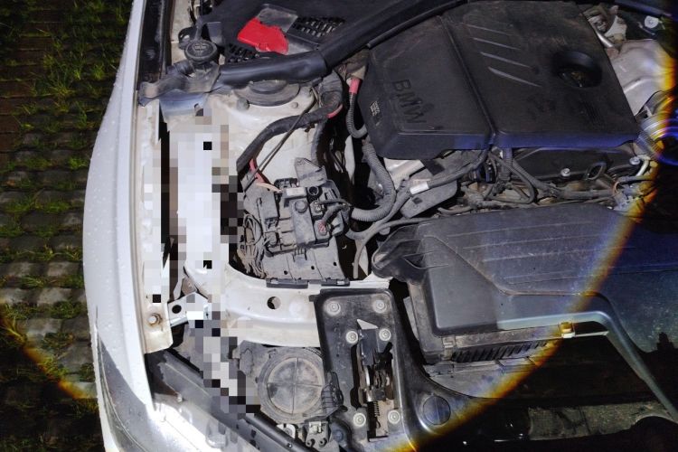 Used BMW 3 Series 2013 316i Active Edition Engine Bay Right