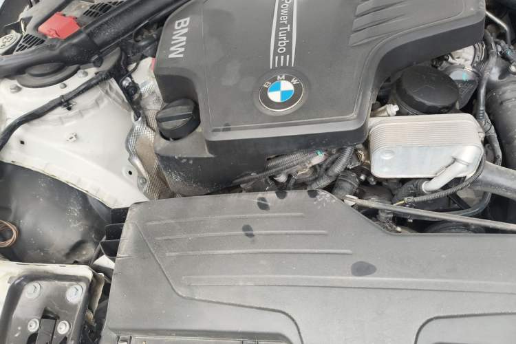 Used BMW 3 Series 2013 320Li Luxury Design Package Engine Bay Right