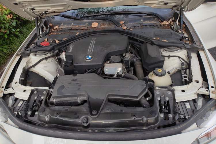 Used BMW 3 Series 2013 Facelifted 320Li Luxury Design Package Engine Bay