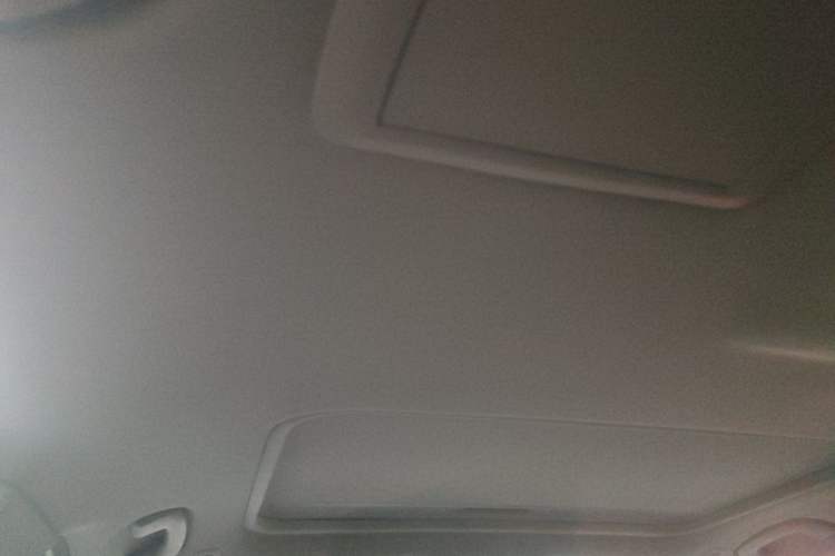 Used BMW 3 Series 2013 320Li Fashion Model Headliner