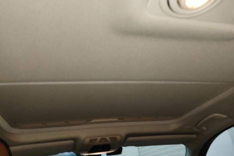 Used BMW 3 Series 2013 320Li Luxury Design Package Headliner