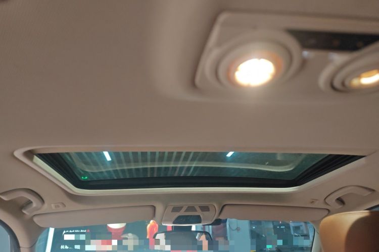 Used BMW 3 Series 2013 320Li Luxury Design Package Headliner