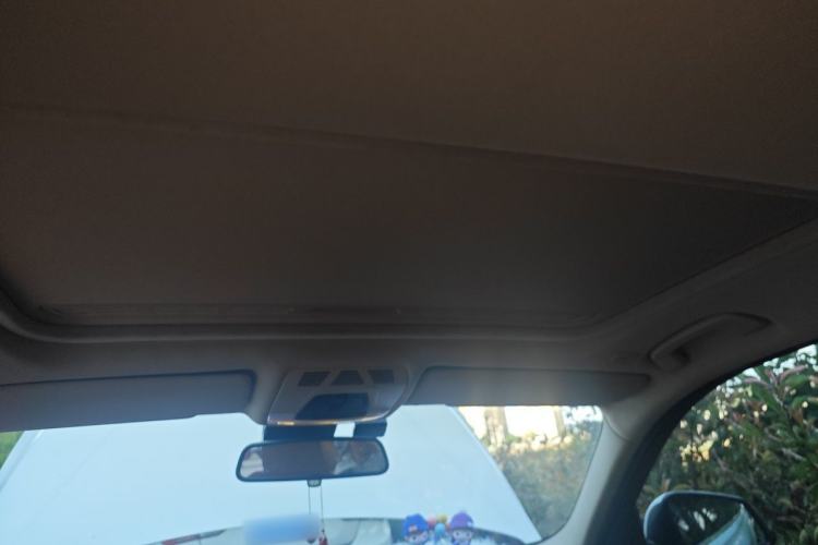Used BMW 3 Series 2013 320Li Luxury Design Package Headliner