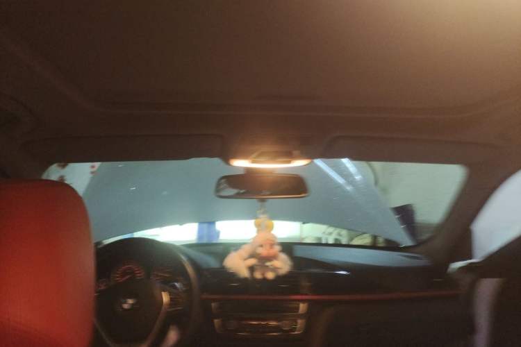Used BMW 3 Series 2013 320i Sport Design Package Headliner