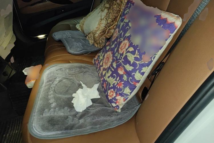 Used BMW 3 Series 2013 320Li Luxury Design Package Left Rear Seat