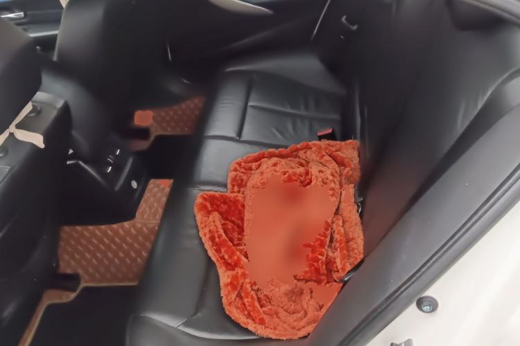 Used BMW 3 Series 2013 320i Sport Edition Left Rear Seat