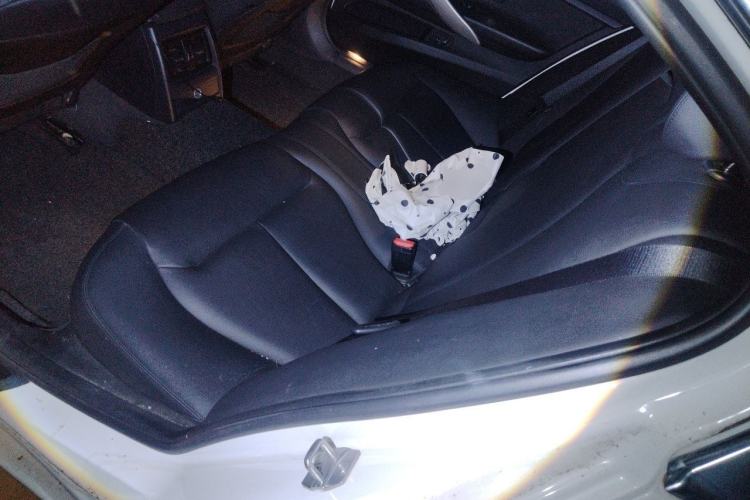 Used BMW 3 Series 2013 320Li Fashion Model Left Rear Seat