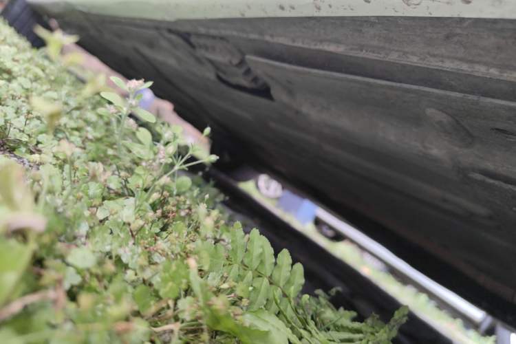 Used BMW 3 Series 2013 320i Sport Edition Right Side Sill
