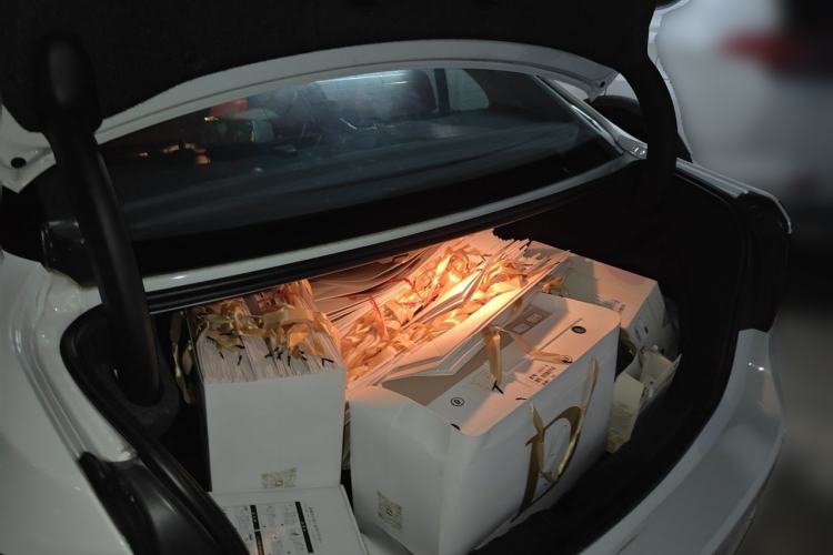 Used BMW 3 Series 2013 320i Sport Design Package Trunk