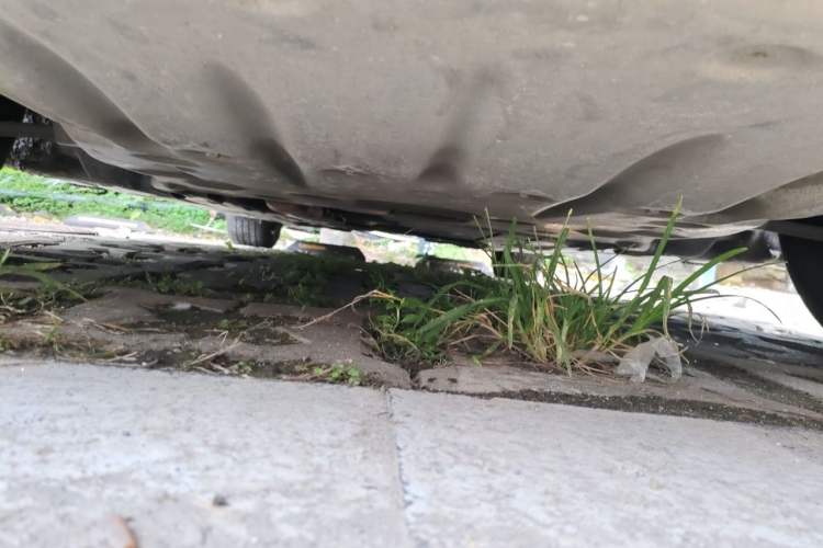 Used BMW 3 Series 2014 320Li Fashion Model Chassis Front