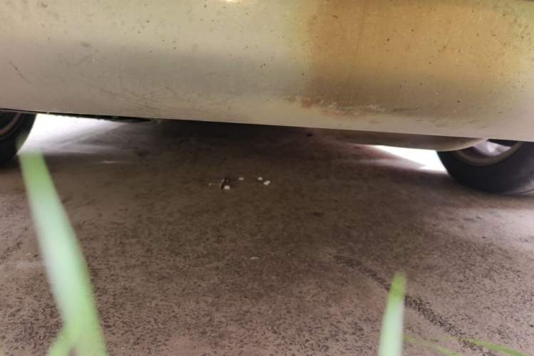 Used BMW 3 Series 2014 328Li Fashion Model Chassis Rear