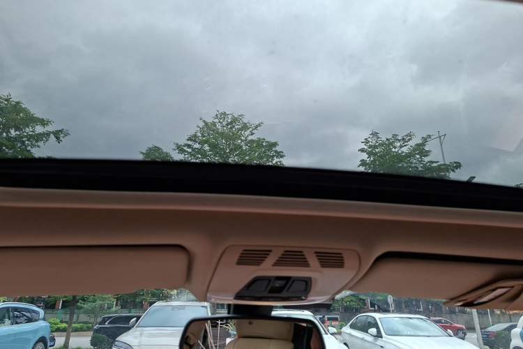 Used BMW 3 Series 2014 320Li Fashion Model Headliner