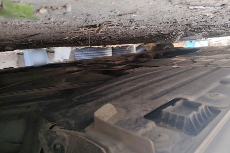 Used BMW 3 Series 2014 320Li Fashion Model Chassis Rear Left