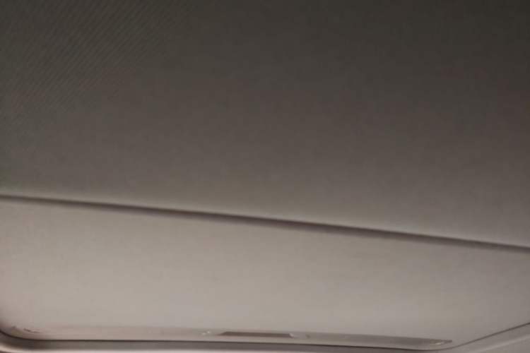Used BMW 3 Series 2014 320Li Fashion Model Headliner