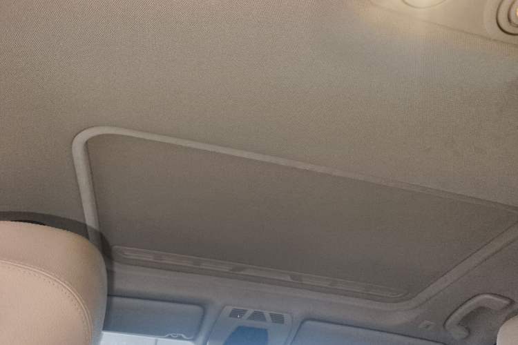 Used BMW 3 Series 2014 320Li Fashion Model Headliner