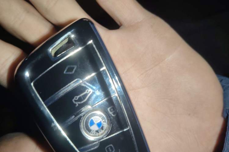 Used BMW 3 Series 2014 320Li Fashion Model Vehicle Key