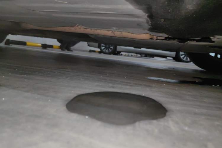 Used BMW 3 Series 2014 320Li Fashion Model Chassis Front Right