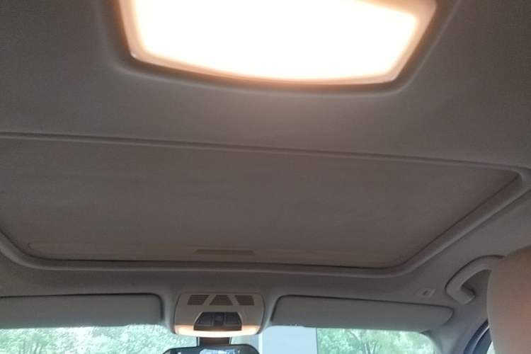 Used BMW 3 Series 2014 320i Active Edition Headliner