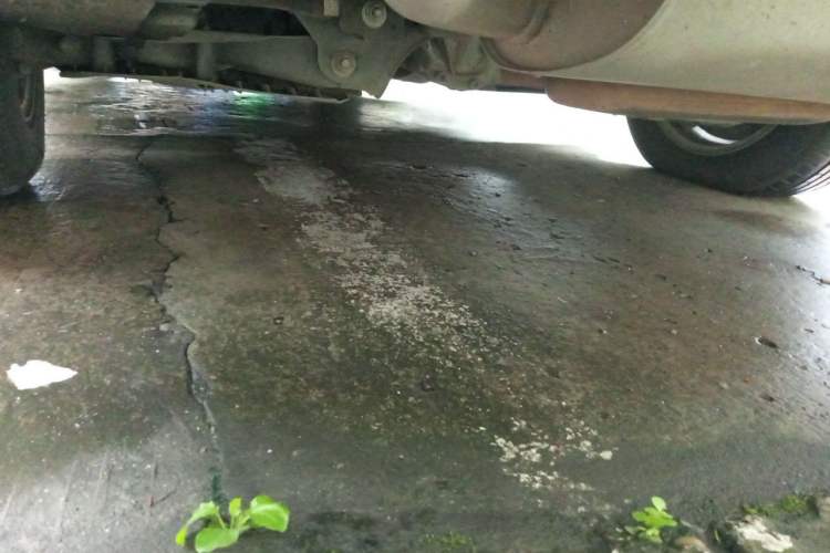 Used BMW 3 Series 2014 320Li Fashion Model Chassis Rear
