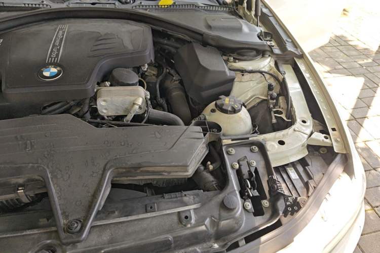 Used BMW 3 Series 2014 320Li Anniversary Limited Edition Engine Bay Left